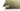 Olive green wool rug with ivory border, third view