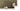 Olive green wool rug with ivory border, fourth view