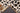 Neutral cheetah animal print rug, pattern detail